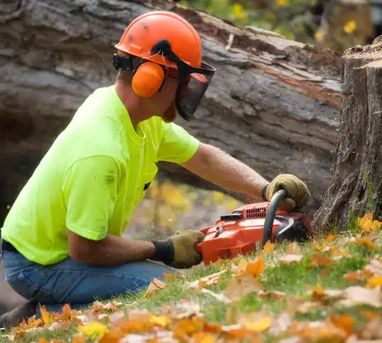 tree services Bellbrook